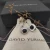 David Yurman 7mm Square Black Diamond Stud Earrings