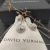 David Yurman 7mm Square Champagne Diamond Stud Earrings