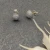 David Yurman 8.6mm Round Silver Pavé Diamond Stud Earrings