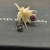 David Yurman 8mm Red Diamond Stud Earrings